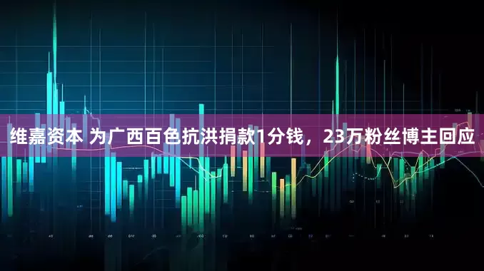 维嘉资本 为广西百色抗洪捐款1分钱，23万粉丝博主回应